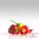 Aji Limo America 100G.