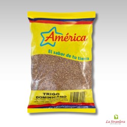 Trigo Dominicano 500gr America