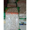 Tarwi, Chochos 500g
