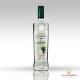 Pisco  Quebranta, Santiago Queirolo