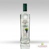 Pisco  Quebranta, Santiago Queirolo