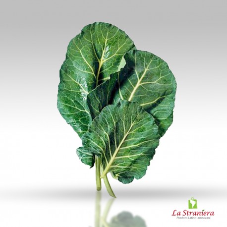 Foglia di Couve, Hoja de Couve