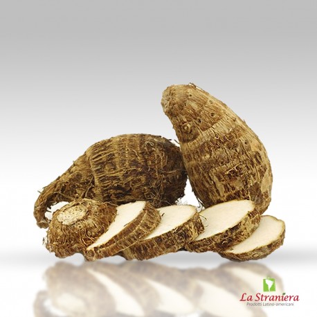 Malanga, Macal, Kalo, Yautía Coco, Papa China, Bituca, Pituca, Ñame, Madumbe, Taro, kalo 