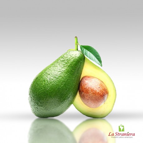 Avocado, Palta, Aguacate, Persea americana, Palto